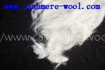 export wool waste,carpet grade raw wool,scoured wool waste,sheep wool waste