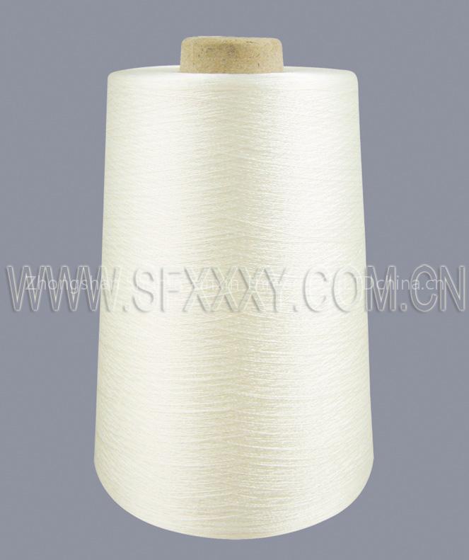 Polyester Embroidery Thread(raw white)