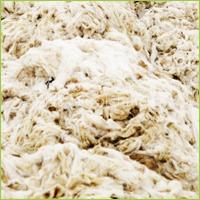 Tannery Wool