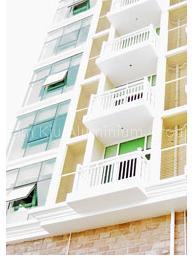 Aluminum Rails (Anodizing/Powder Coating/Liquid Painting)