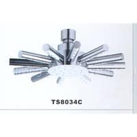 Top Shower (TS8034C)