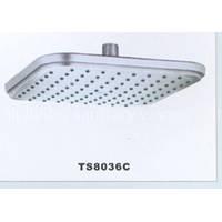 Top Shower (TS8036C)