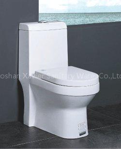 Ceramic Toilet (X-2070 )