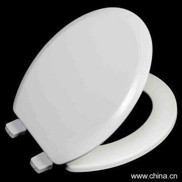 Mould Wood Toilet Seat
