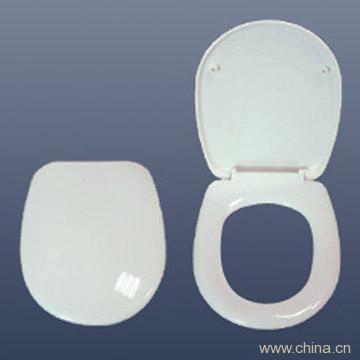 Toilet Seat