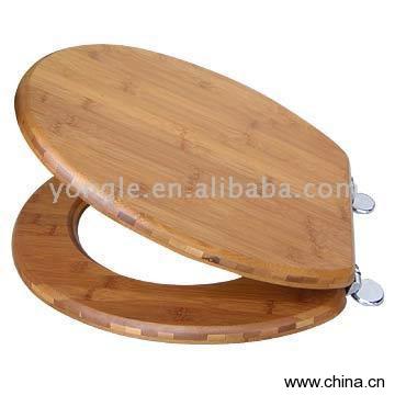 Toilet Seat