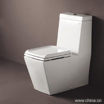 One-Piece Toilet