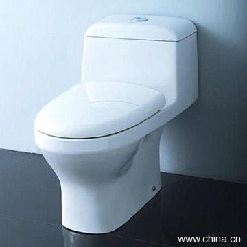 Washdown One-piece Toilet HDC129
