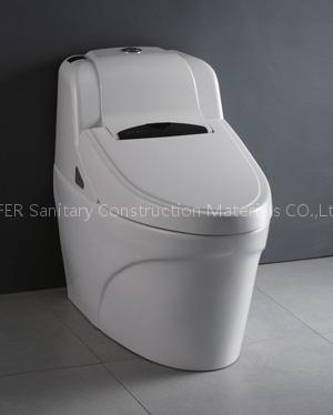 Electronic toilet