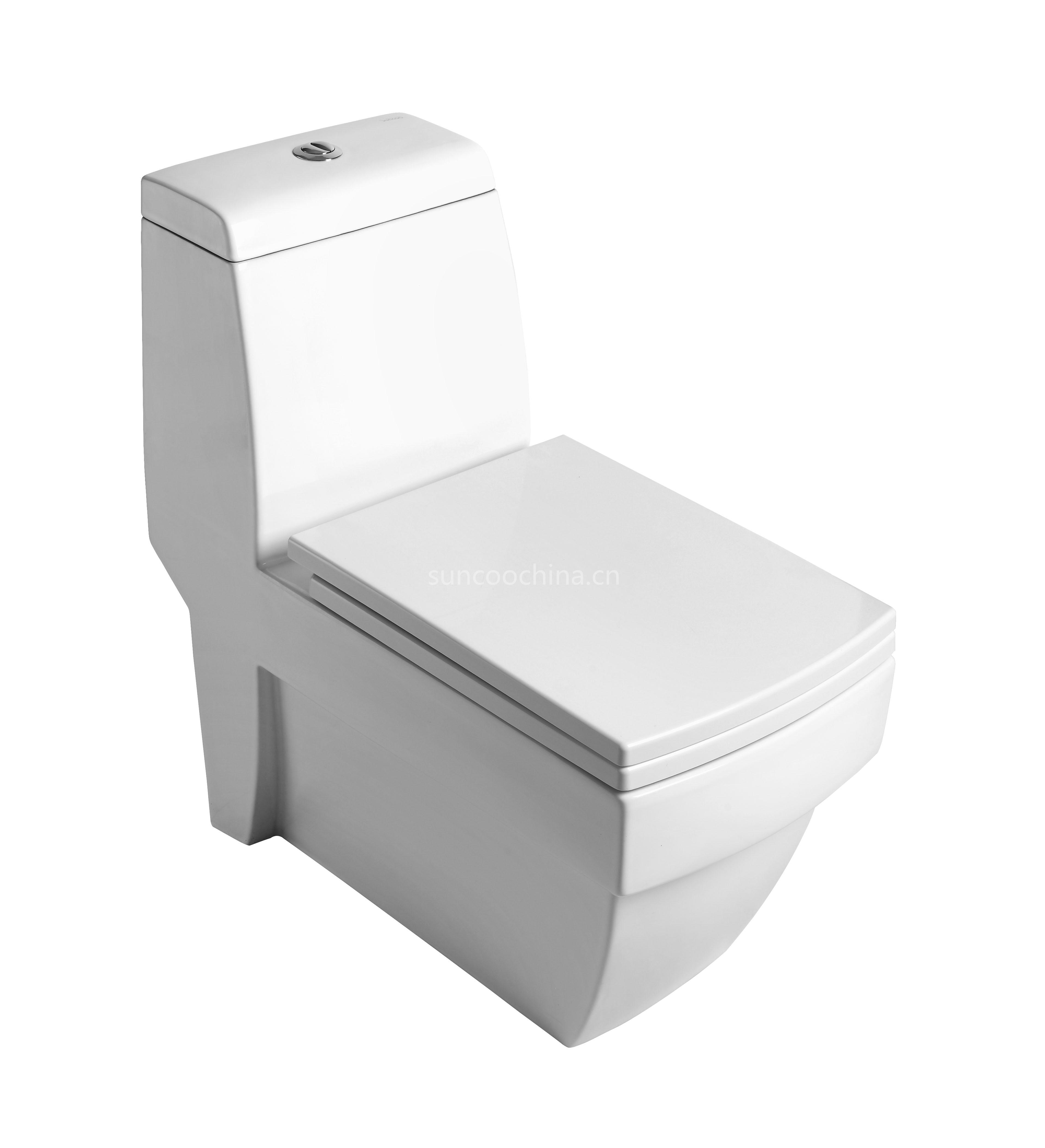 Ceramic Toilet SOL891