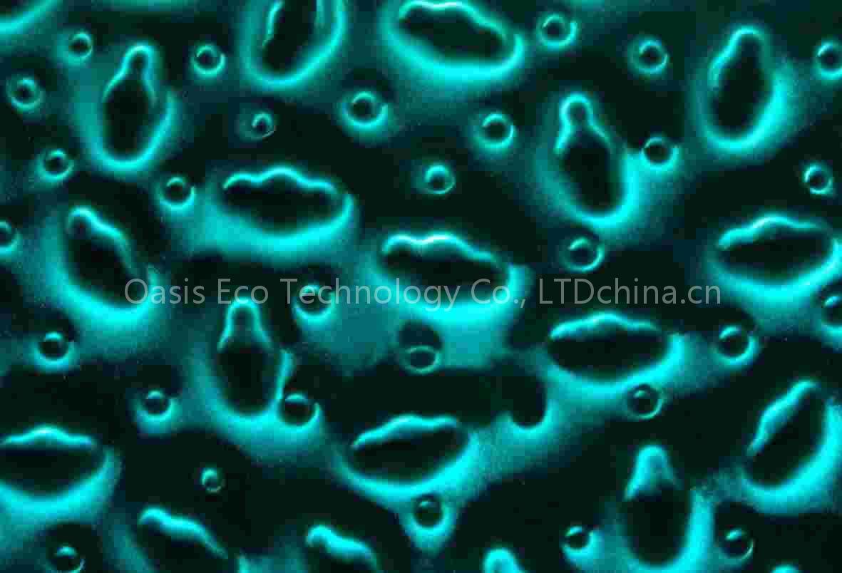 Phantom 3D glass Panels 01