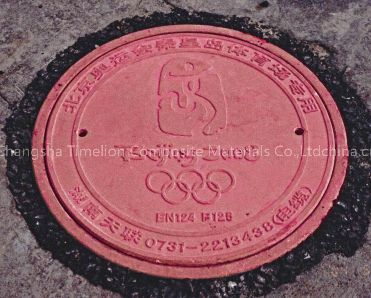 plastic manhole cover (EN124)