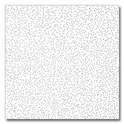 acoustic ceiling tiles