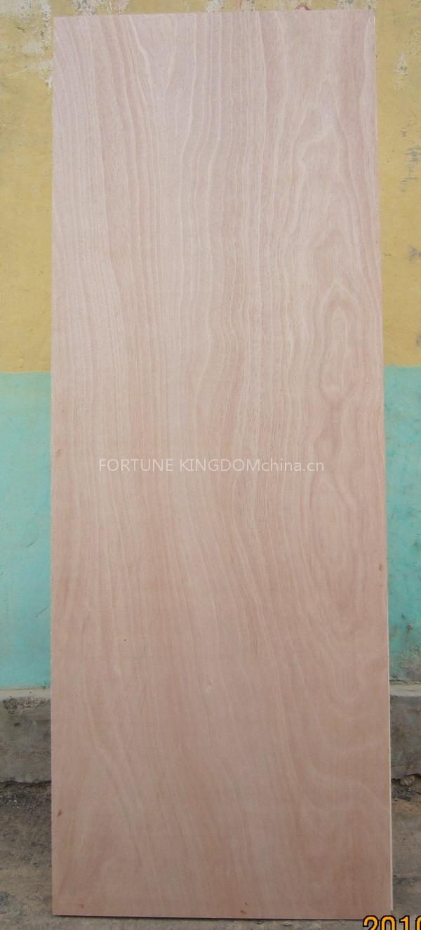 plywood door