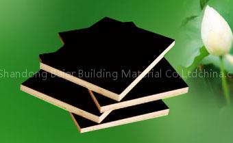 Baier Plywood