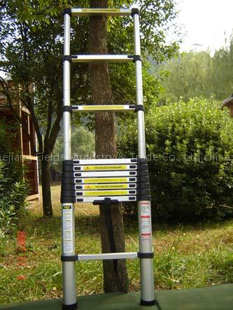 Telescopic Ladder