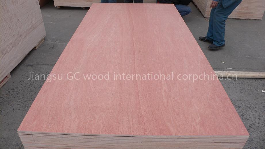 Bintangor plywood