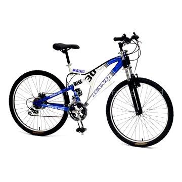mountain bicycle