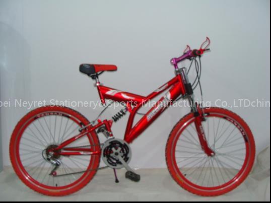 race bike
