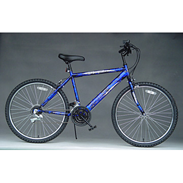 Mount Bicycle