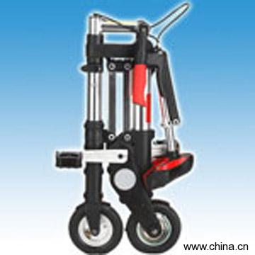 Folding Bike