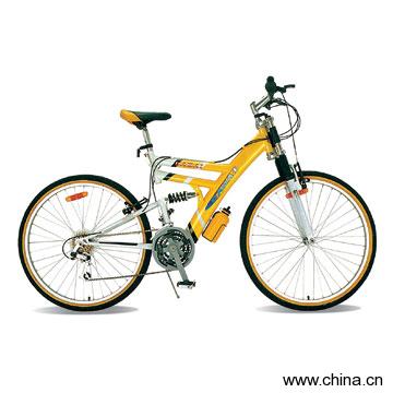 Mountain Bike