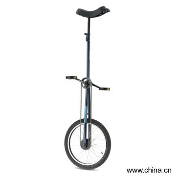 Unicycle