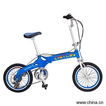 Folding Bike