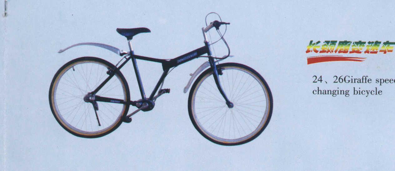 China (Mainland) Chainless Bike
