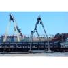 Artic Tern 14 (Indonesia)