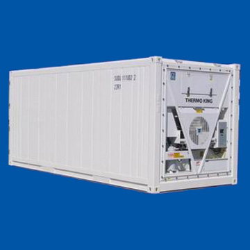 20\'\' Steel Reefer with Meat Hanging System