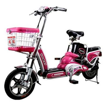 mini electric bike