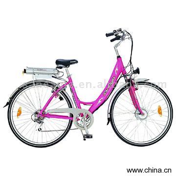 Electric Bike