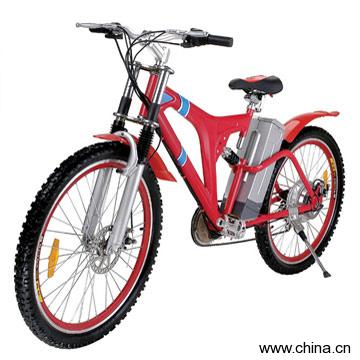Electric Bike