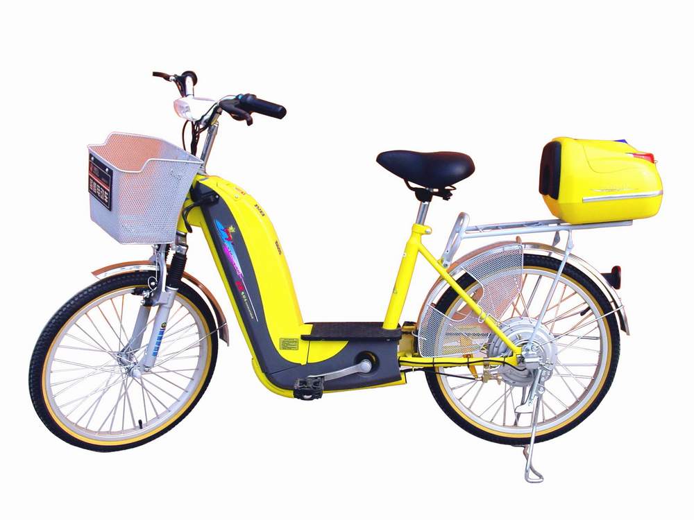 China (Mainland) Electric Bicycle