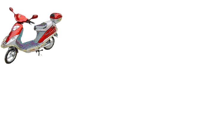 Mauritius Electric Bicycle