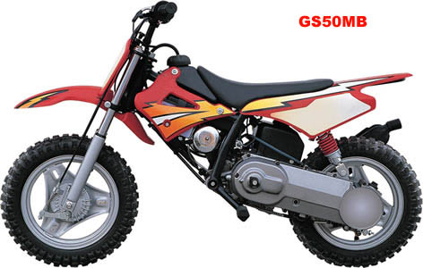 China (Mainland) Minibike