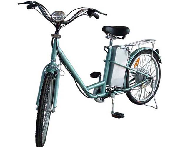 China (Mainland) Tdl2031z Electric Bicycle