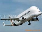 international transport service