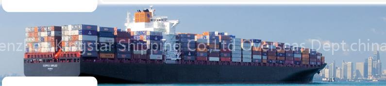 SHENZHEN TO BREVIK,KRISTIANSAND,LARVIK,MOSS,OSLO, NORWAY SHIPPING.