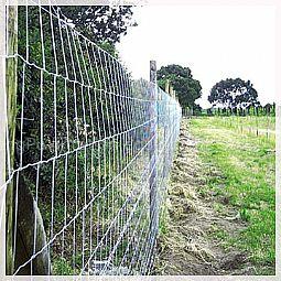 grasslang fence-wuxi grassland fence-grasslang fence sales