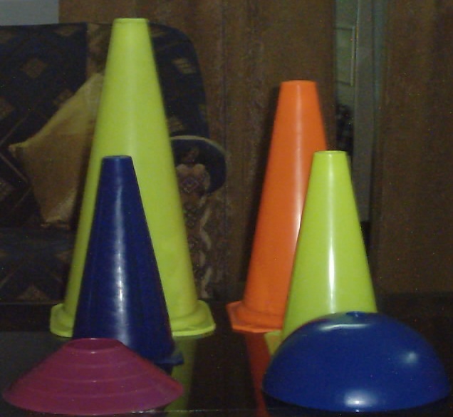 India Training Cones