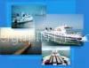 Freight Forwarder/shipping Agent/cargo Service