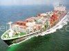 China Shenzhen Sea/ Ocean/ Air/ Fcl/ Lcl/ Agent Service
