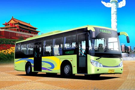 Electric Bus / New Energy Bus