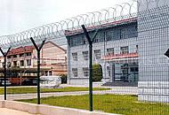 Wire Mesh Fence