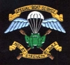 Pakistan British Military Badges, Us Military, German Badges
