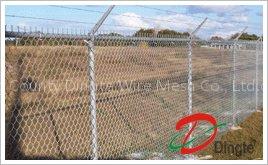 Welded wire mesh fence