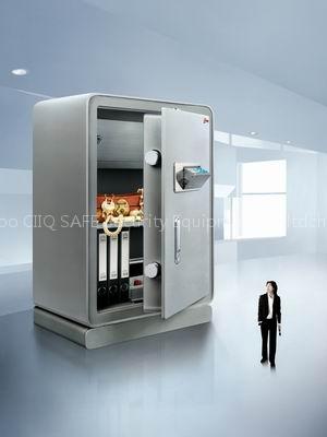 Home safe with design