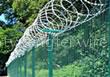 razor wire